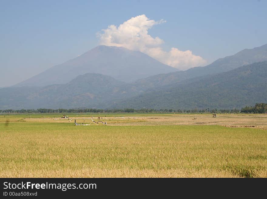 A mountain in the middle java showing activity back in 2006. A mountain in the middle java showing activity back in 2006