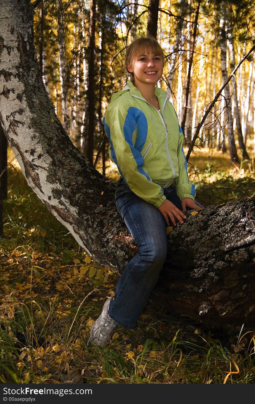 A girl sitting on birch. A girl sitting on birch