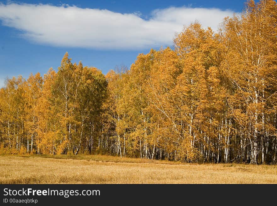 Russian october in fields and forests. Russian october in fields and forests