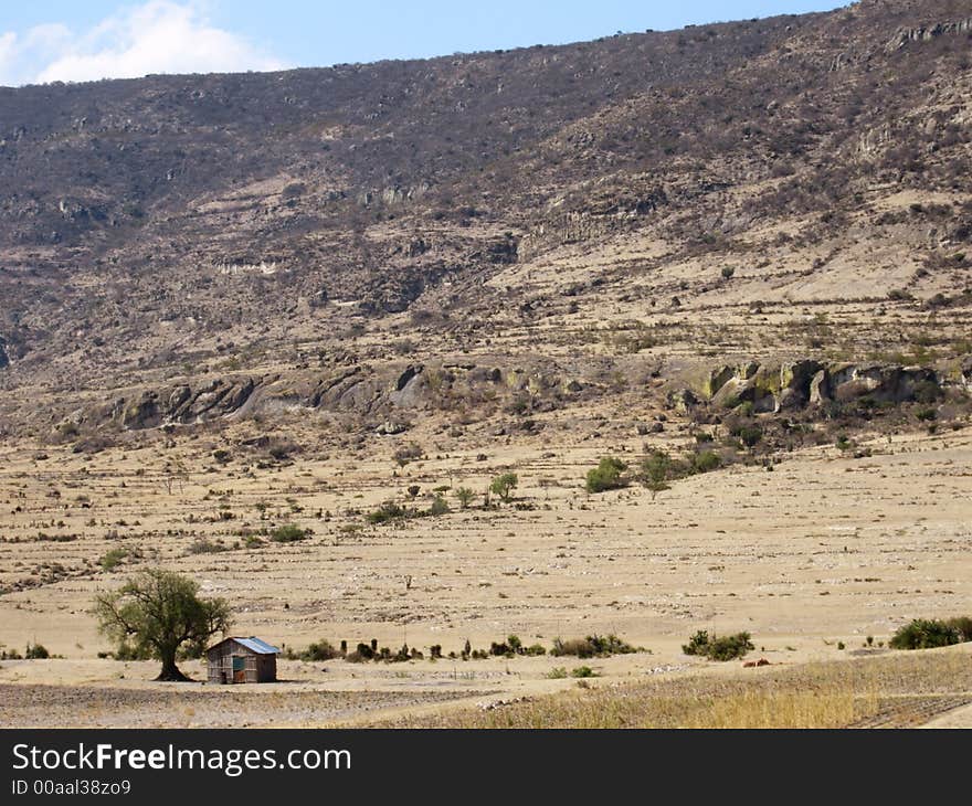 House In The Middle Of Nowhere