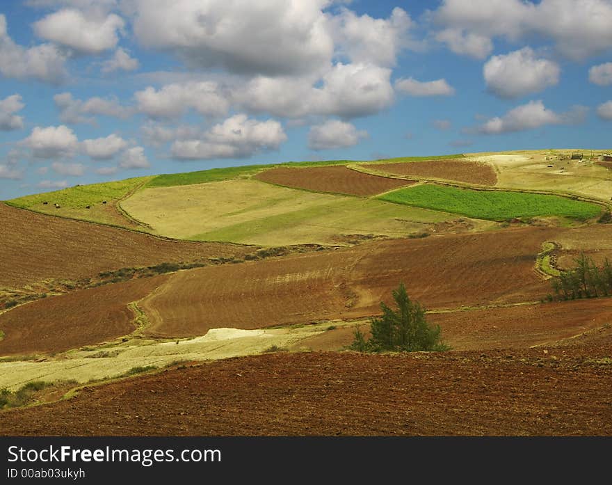 Colorful fields - Landscape green grass, blue sky and white clouds. Colorful fields - Landscape green grass, blue sky and white clouds