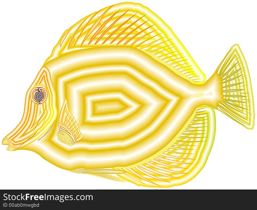 Drawing of a coral small fish. Abstract. Stylized. Drawing of a coral small fish. Abstract. Stylized.