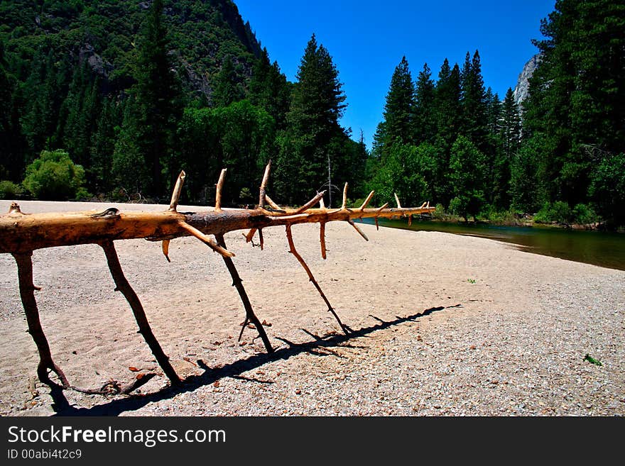 Yosemite National Park, USA