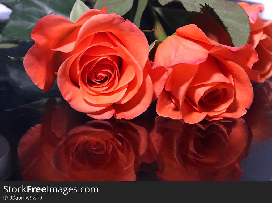 Two red roses reflecting on the black