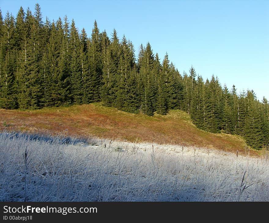 Mountain Slope