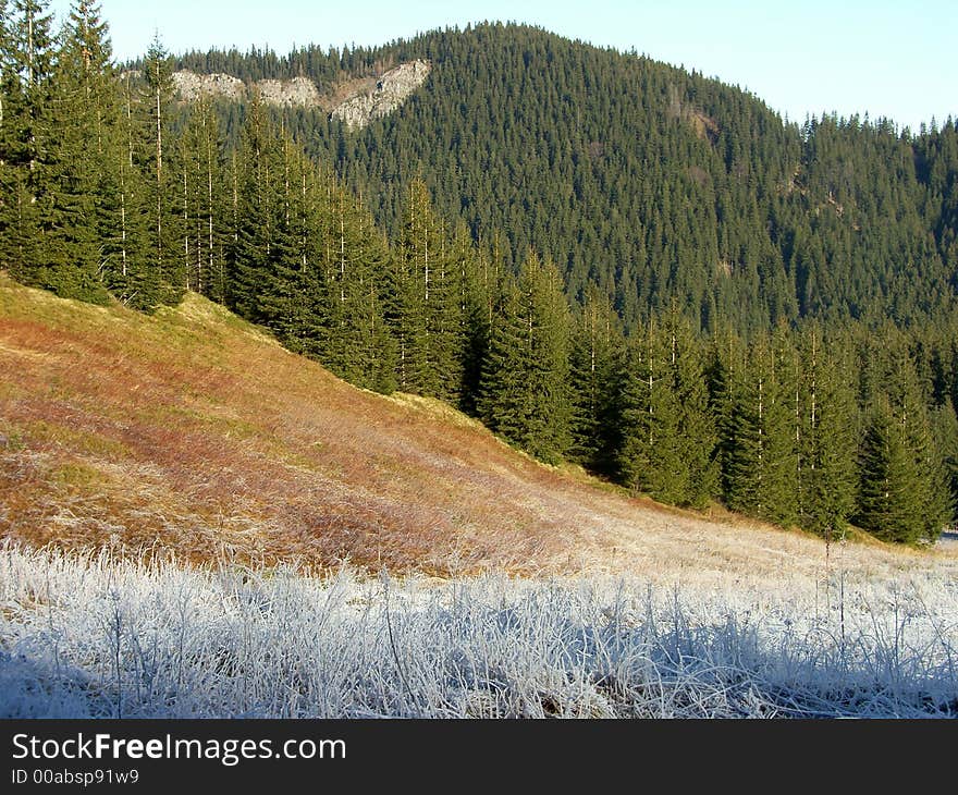 Mountain Slope