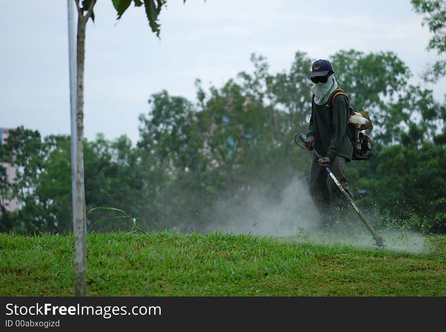 Worker Cutting Grass