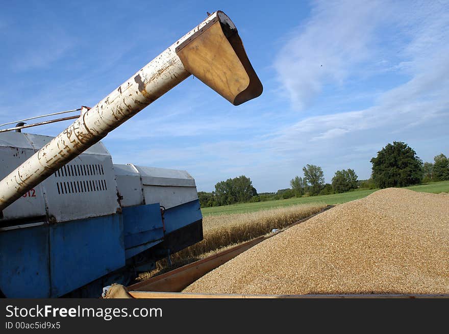 Summer harvest on field in Czech republic