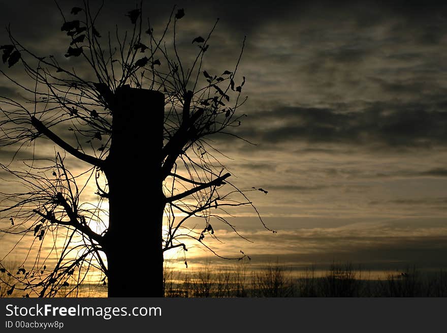 Yellow and gray clouds at evening, silhouette. Yellow and gray clouds at evening, silhouette