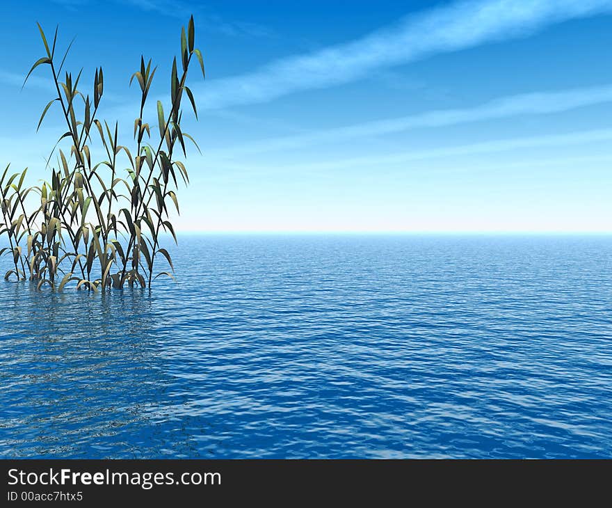 Water plants and lake landscape- digital artwork. Water plants and lake landscape- digital artwork.