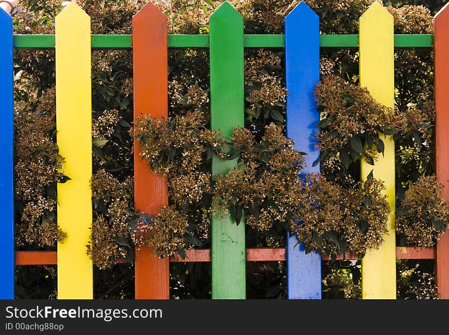 A portion of a colorful fence and bushes behind it. A portion of a colorful fence and bushes behind it