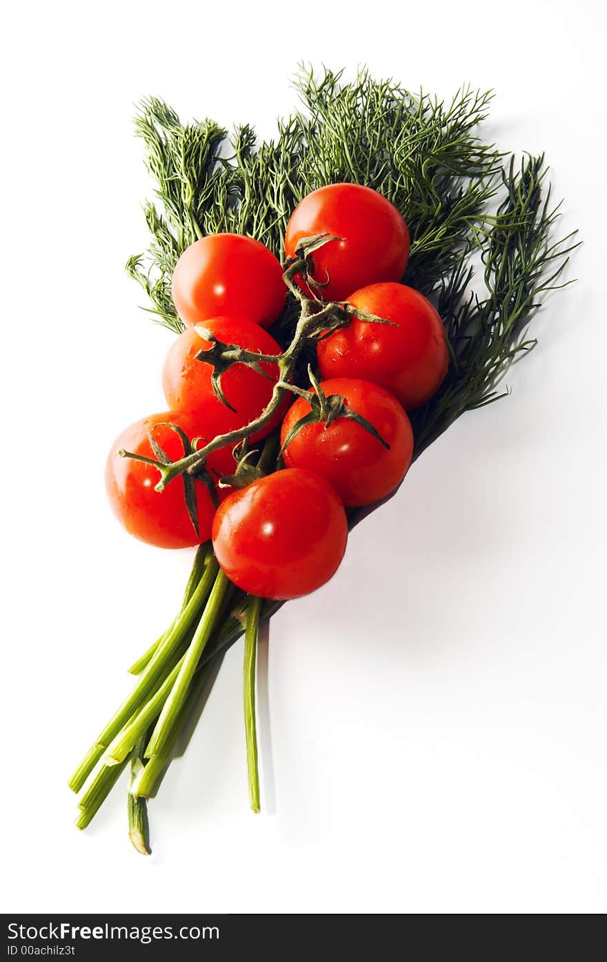 Branch of small dietary tomatoes and bunch of fennel. Branch of small dietary tomatoes and bunch of fennel