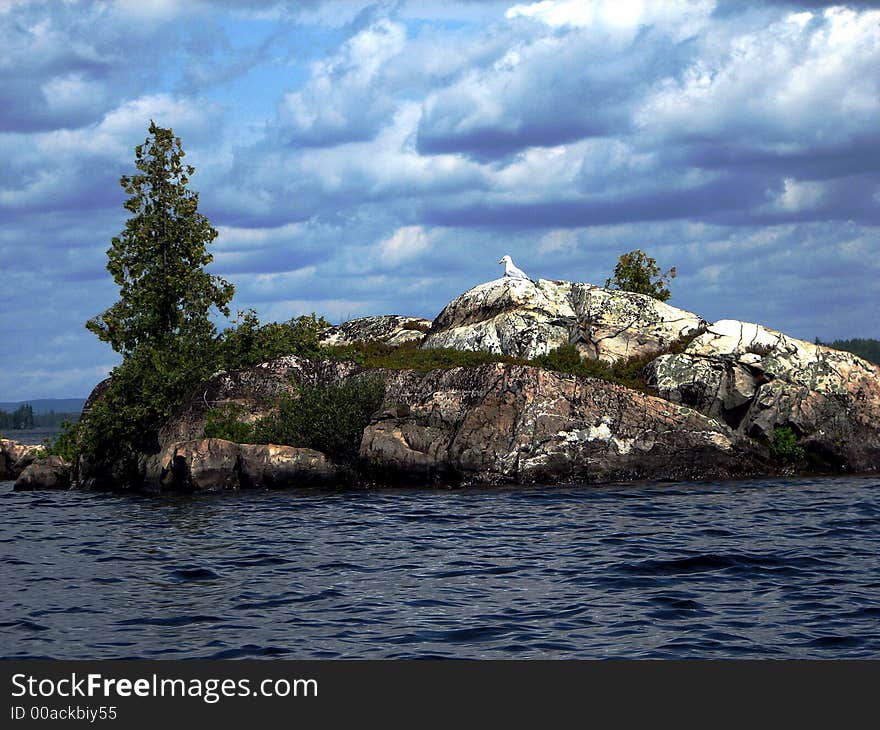 Lone seagull on bedrock on Duncan Lake, Northern Ontario. Lone seagull on bedrock on Duncan Lake, Northern Ontario