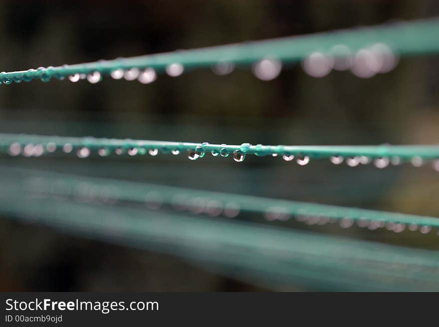 Multiple strands of a clothes drying line with raindrops, only center drops are in focus. Multiple strands of a clothes drying line with raindrops, only center drops are in focus