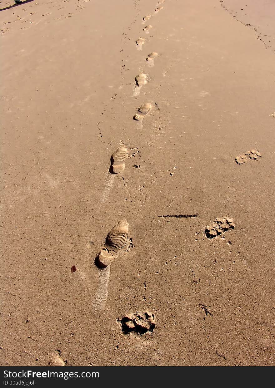 Footprints in the sand coast