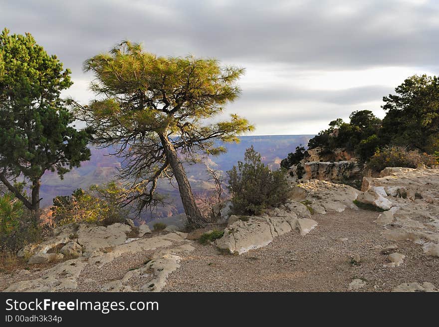 Landscape, View from a path along the edge of Grand Canyon. Camera Nikon D2X, Lens Nikon 17-55mm f2.8. 1.250s at f7.1, FL= 17mm. Landscape, View from a path along the edge of Grand Canyon. Camera Nikon D2X, Lens Nikon 17-55mm f2.8. 1.250s at f7.1, FL= 17mm