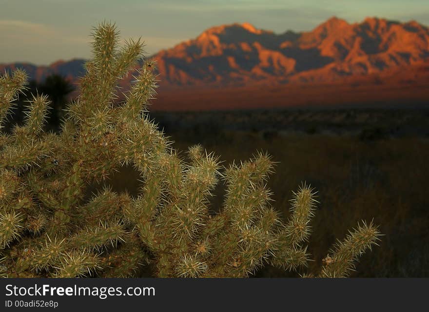 A Days Ending in the Desert