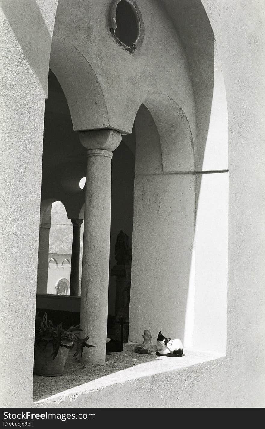 Ravello cats