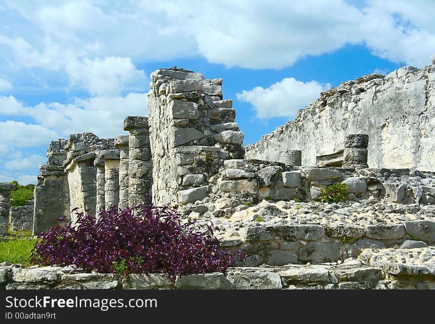 Mayan ruins in Tulum, Mexico.