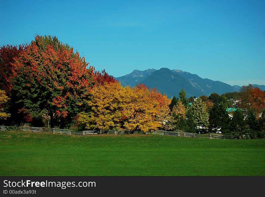 Fall color in playground, vancouver, bc, canaca. Fall color in playground, vancouver, bc, canaca