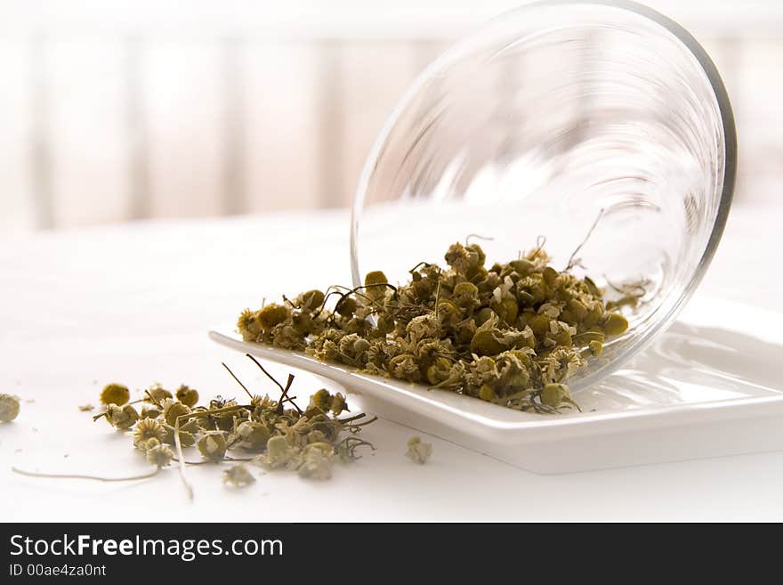 Egyptian Camomile  Tea on white background. Egyptian Camomile  Tea on white background