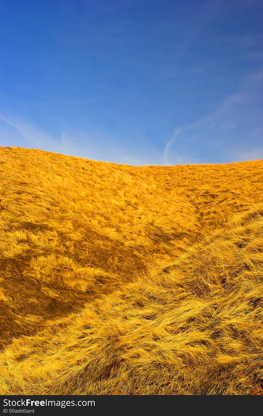 Californian prairie - east of San Francisco