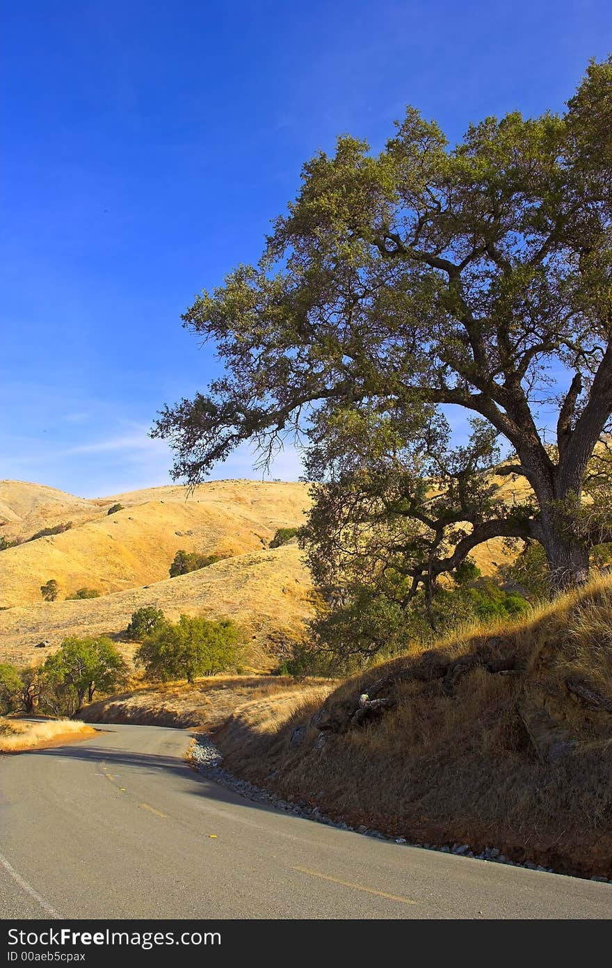 It's a photo of Californian prairie