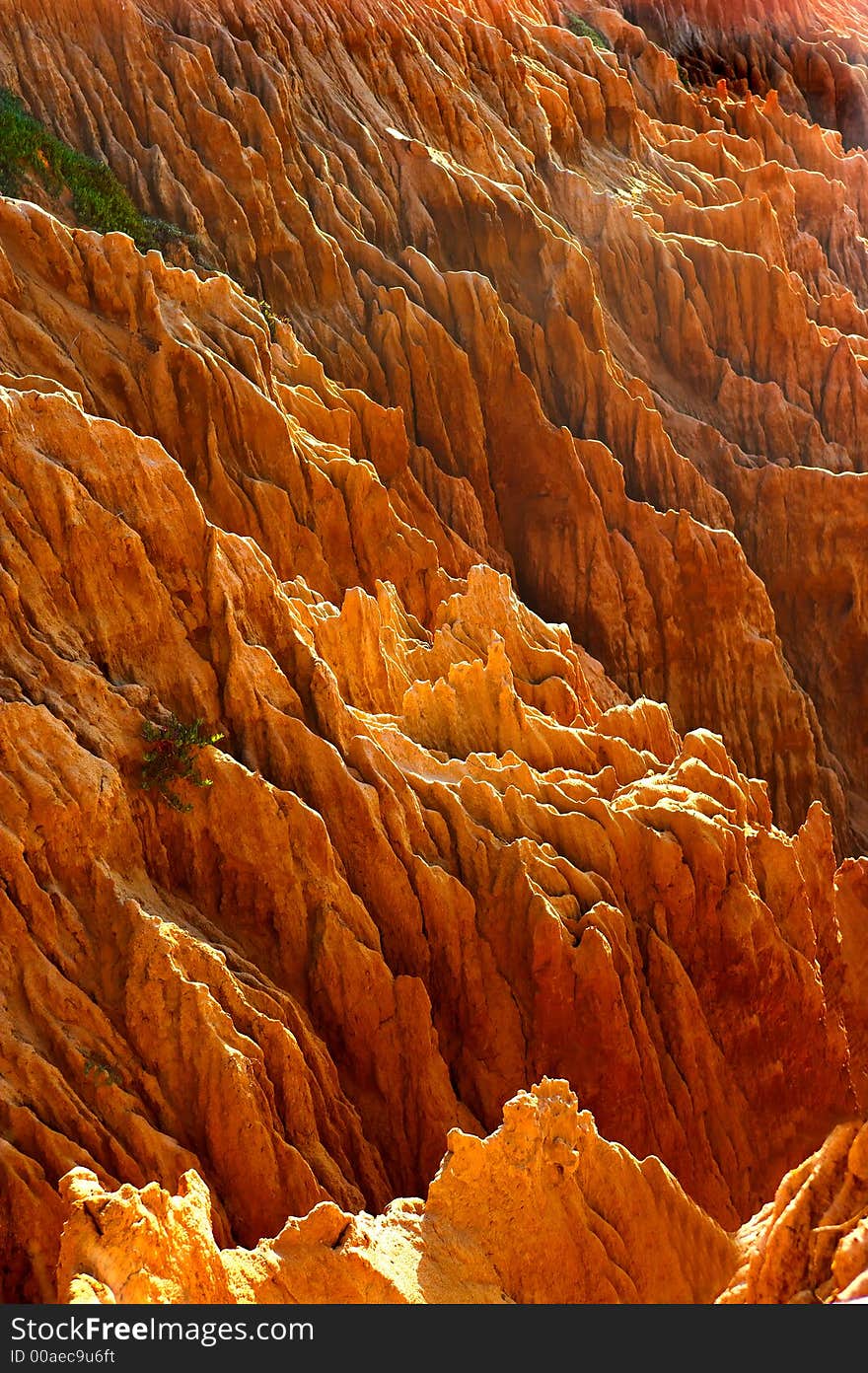 Photo of the beautiful Torrey Pines - California