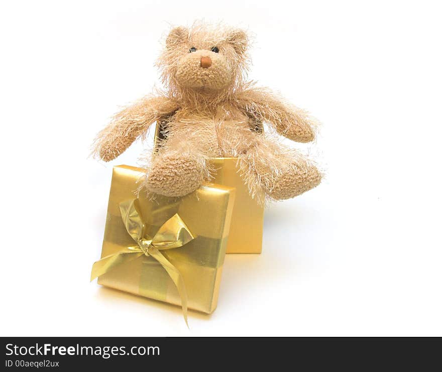 Teddy bear in Christmas present