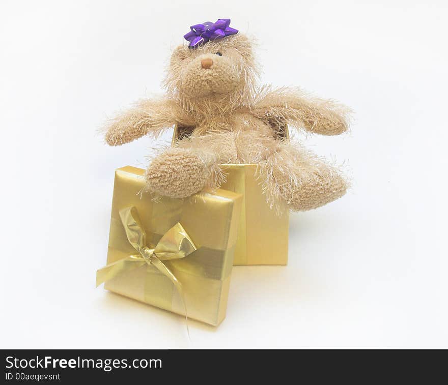 Teddy bear in Christmas present