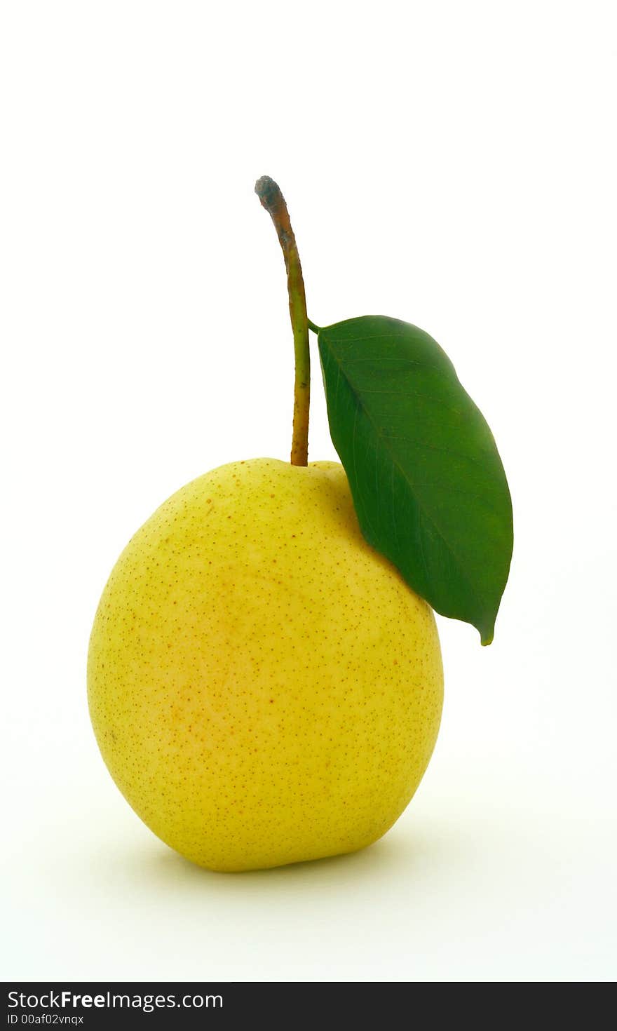 Pear