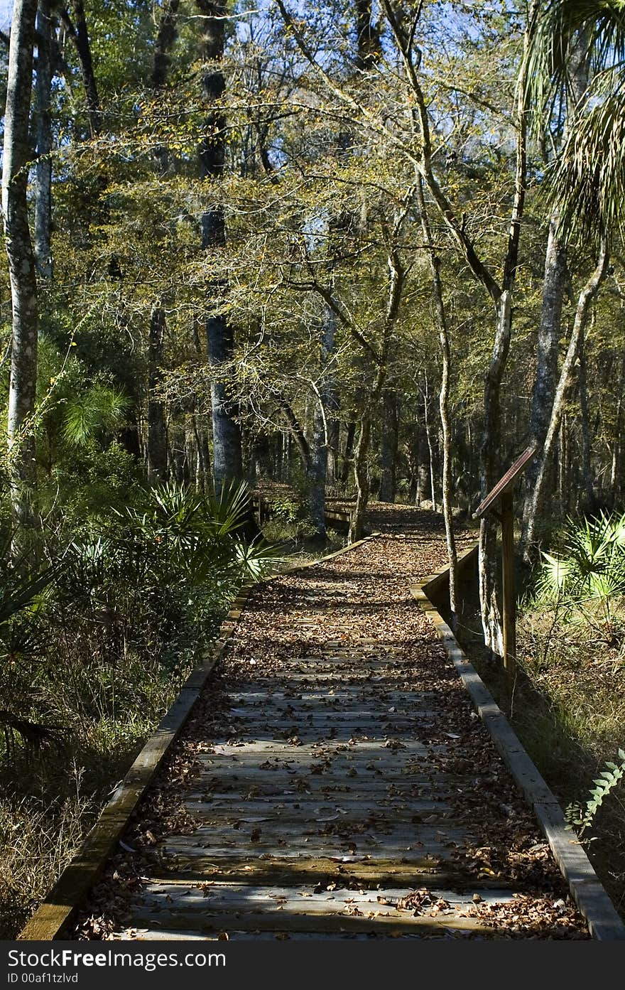 Boardwalk in Autumn