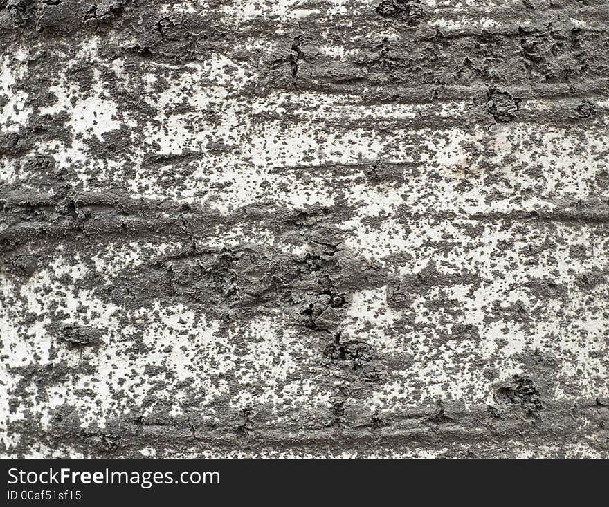 Bark texture #2