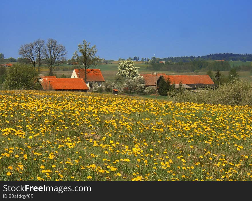 Sunny spring landscape with old farm