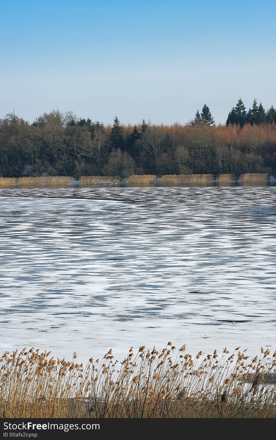 Winter lake and forest in Denmark. Winter lake and forest in Denmark