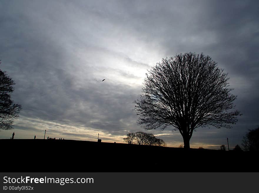 Picture of a tree on a winter day in London (Primrose Hill). Picture of a tree on a winter day in London (Primrose Hill)