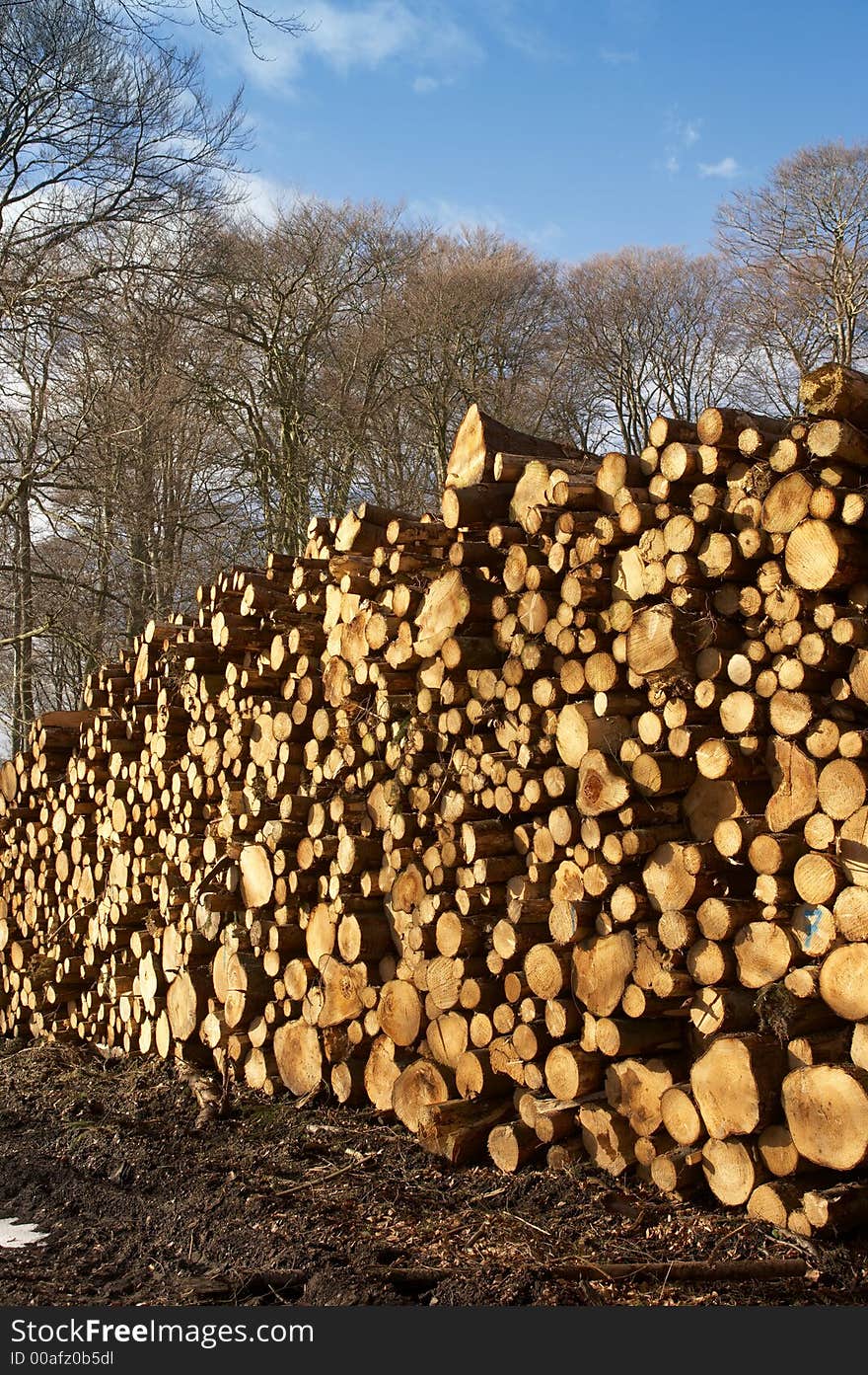 It's a photo of a woodpile