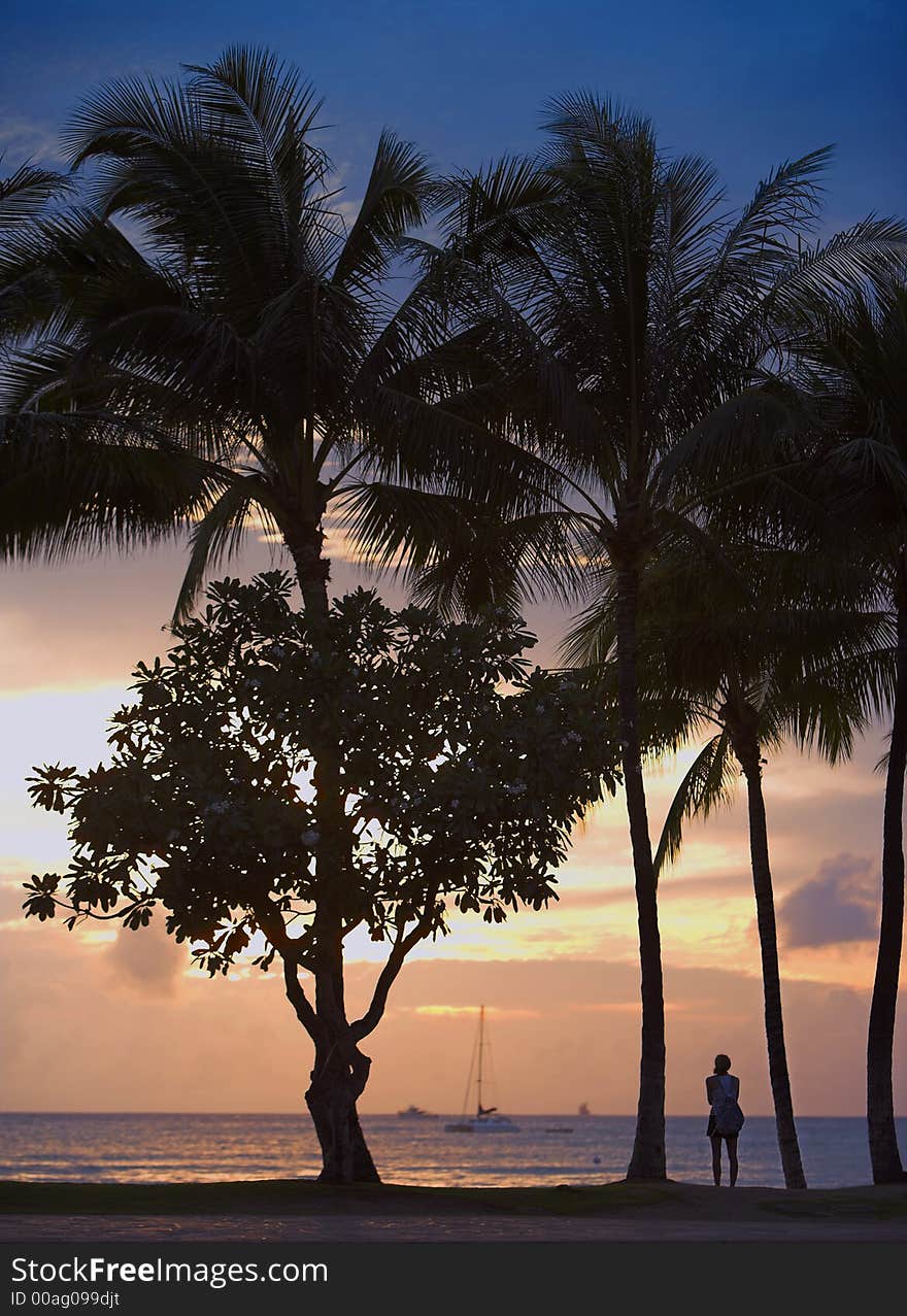 Evening photo of a tropical beach (Honolulu=. Evening photo of a tropical beach (Honolulu=