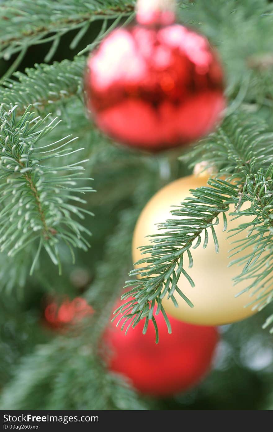 Closeup of christmas balls on a christmas tree - focus on the needles of the pine in the foreground