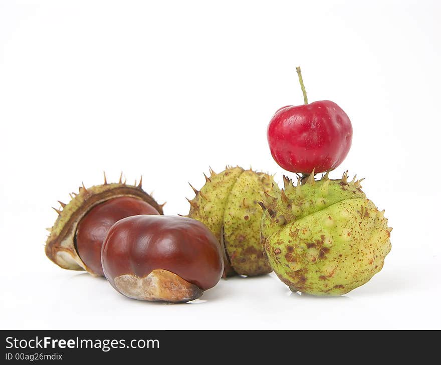 Autumn composition of chestnuts and crab over white. Autumn composition of chestnuts and crab over white