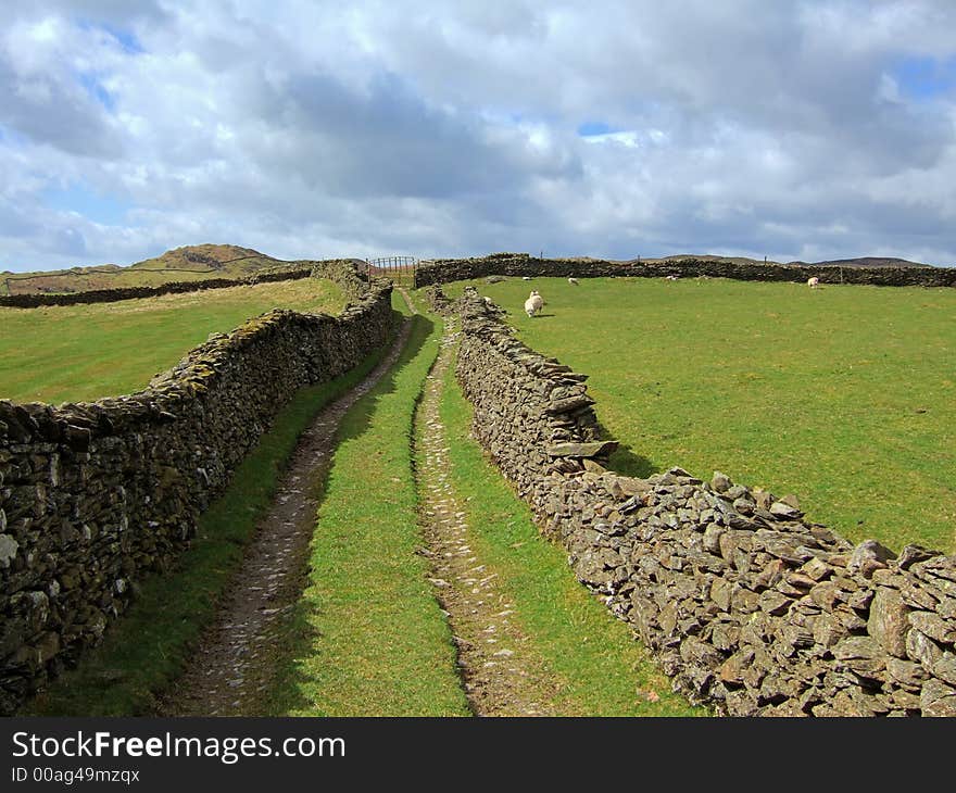 Farm track in Longsleddale