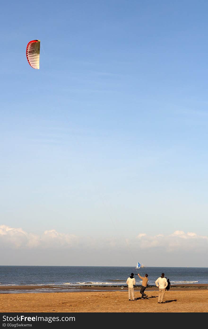 Kite on the beach