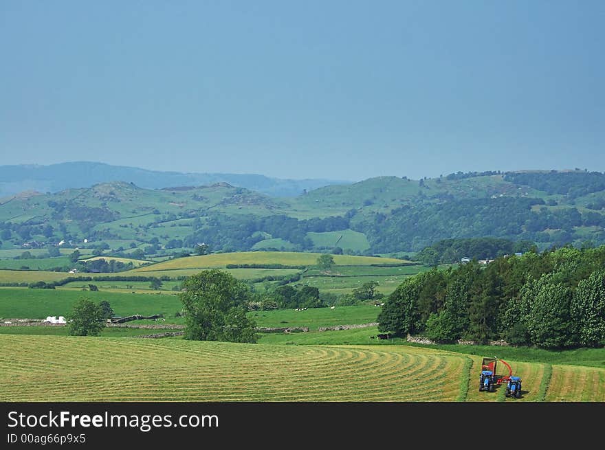 Grass Cutting