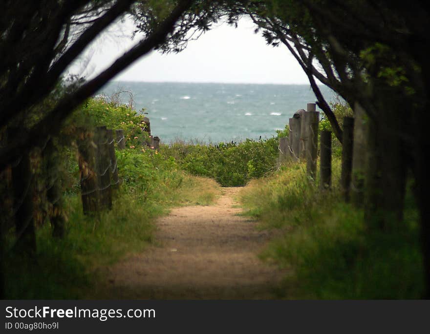 Footpath through forest leading to ocean, tropics. Footpath through forest leading to ocean, tropics