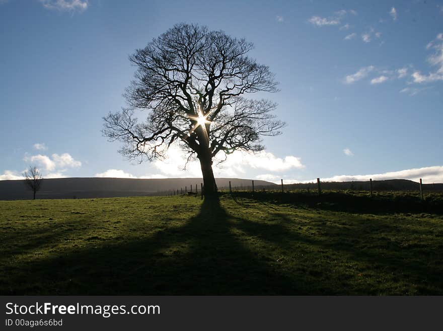 Image taken whilst on a hike near East Witton in Swaledale Yorkshire in November 2006. Image taken whilst on a hike near East Witton in Swaledale Yorkshire in November 2006