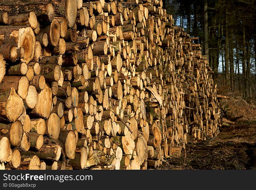 It is a photo of a woodpile