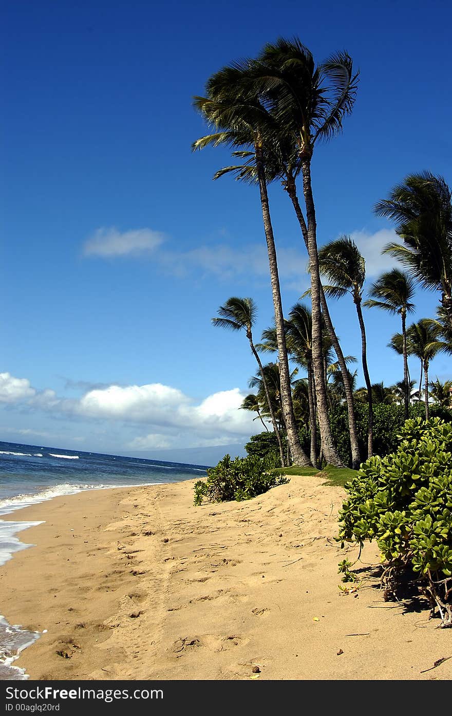 Tropical beach on a sunny afternoon with some clouds