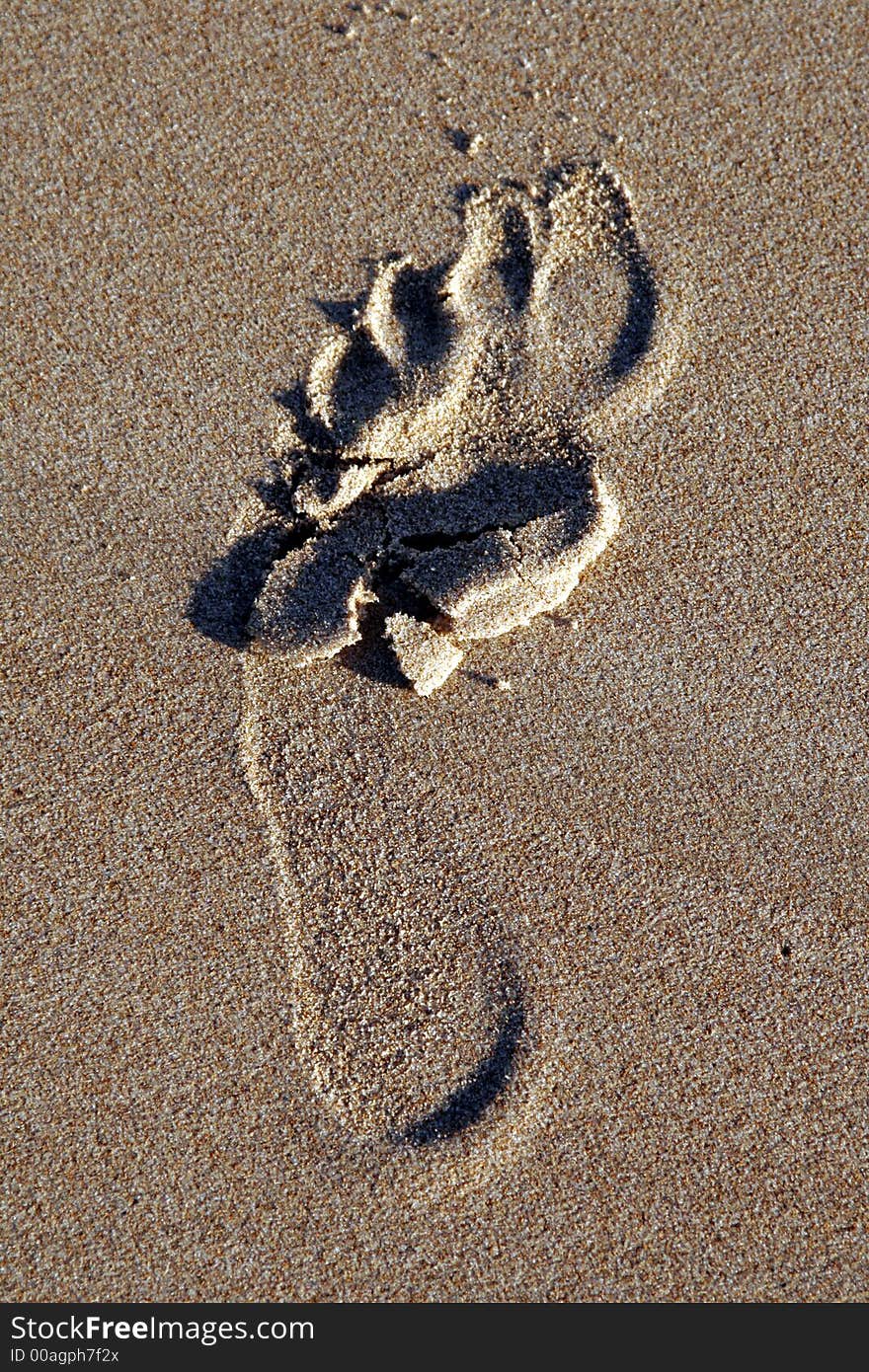 Footprint