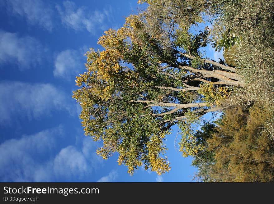 Stock Photo of Colorado Landscape