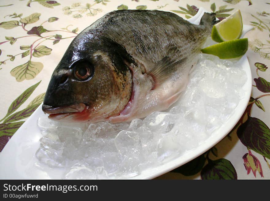 Fresh fish in an ice on a white dish